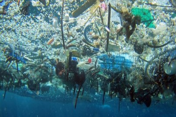 Miljöarbete på Surfspot