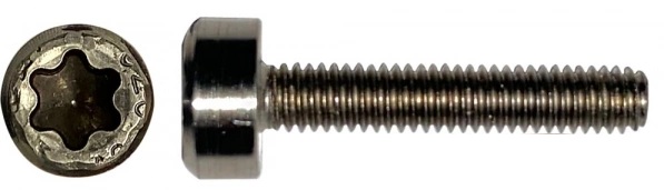 Starboard Screw JB M4x22 Torx (fenskruv us-box) i gruppen Vågsurf / Tillbehör Vågsurf, Skim- och Bodyboard / Skruvar, muttrar, brickor hos Surfspot Sweden AB (1099210001068)