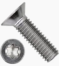 Foil Bolt Torx M6 i gruppen Foil / Wingfoil / Delar för uppgradering och reparation / Delar och reservdelar wingfoil hos Surfspot Sweden AB (torxM6)