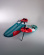 Starboard Carve 2027 (Freeride) Starboard Carve 2027 (Freeride)