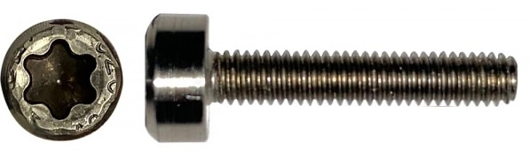 Starboard Screw JB M4x22 Torx (fenskruv us-box)