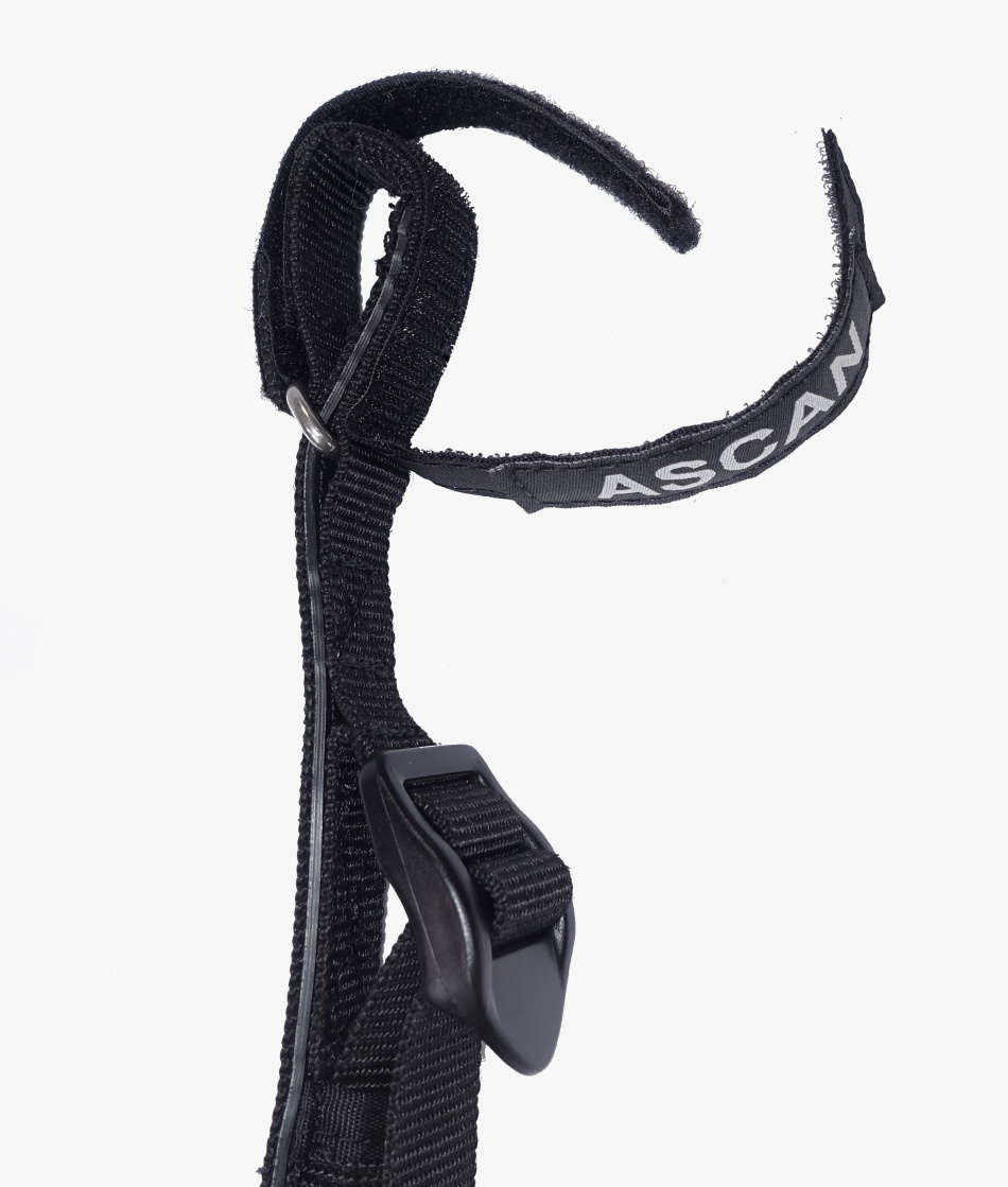 Ascan Wing Harness Line Vario