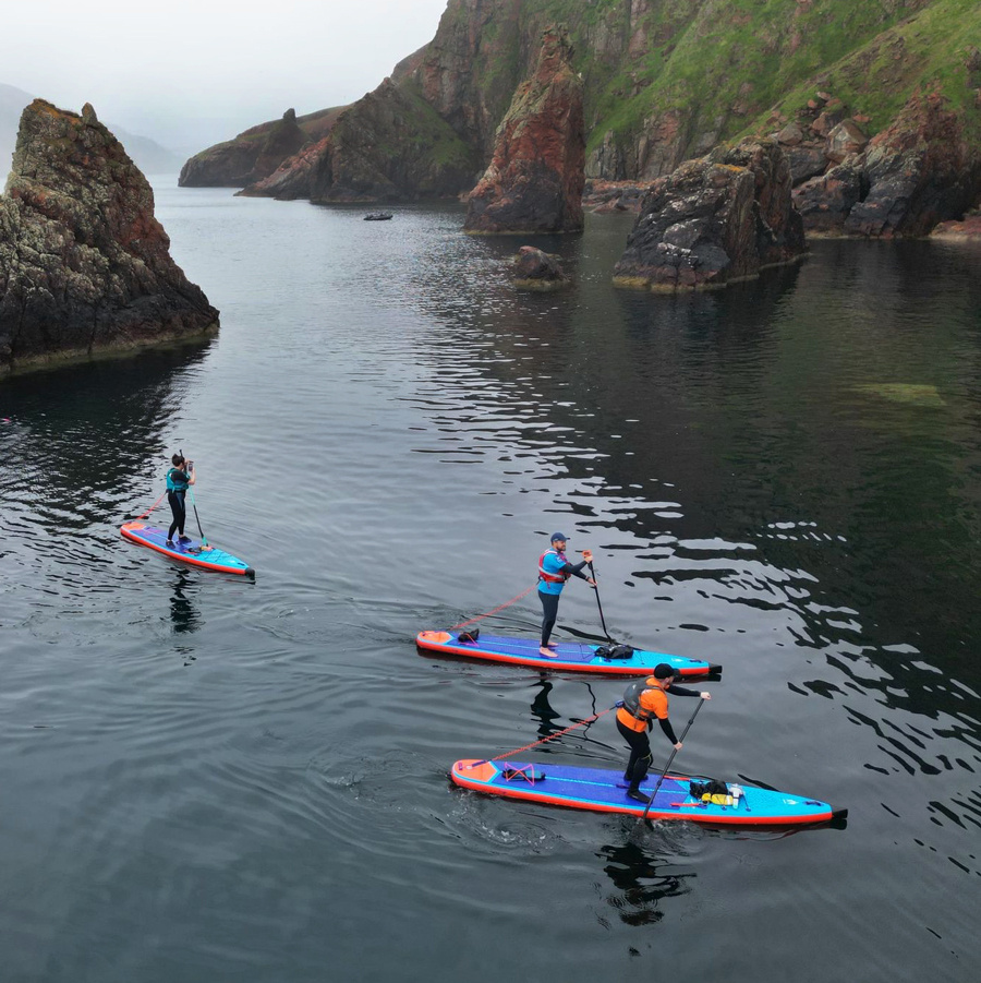 Shark SUP Venture Plus 14 x 28 (Uppblåsbar)